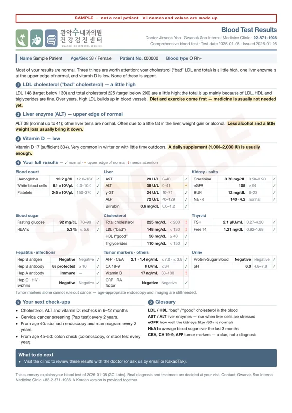 Sample blood test results sheet in English: a short summary of what needs attention, explanations of each finding, and a full table of results with normal ranges
